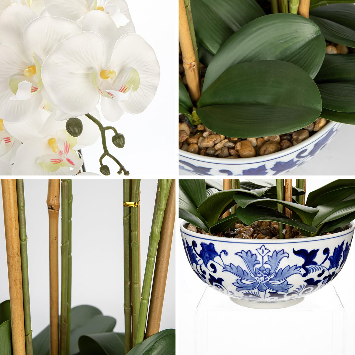 Briful White Orchid in Blue and White Porcelain Pot