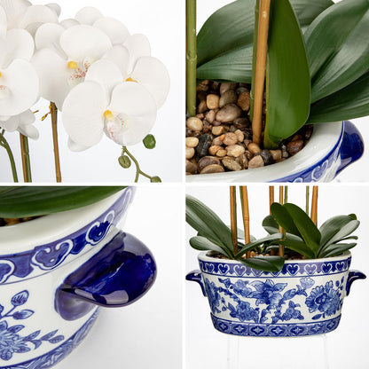 Briful White Orchid in Blue and White Porcelain Pot
