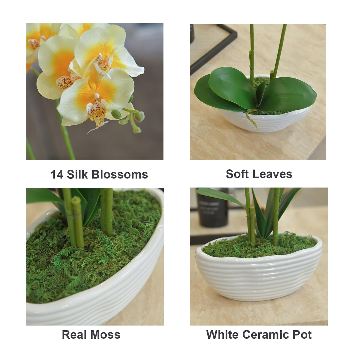Faux Orchid in Navy Ribbed Ceramic Pot