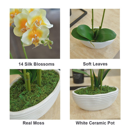Faux Orchid in Navy Ribbed Ceramic Pot