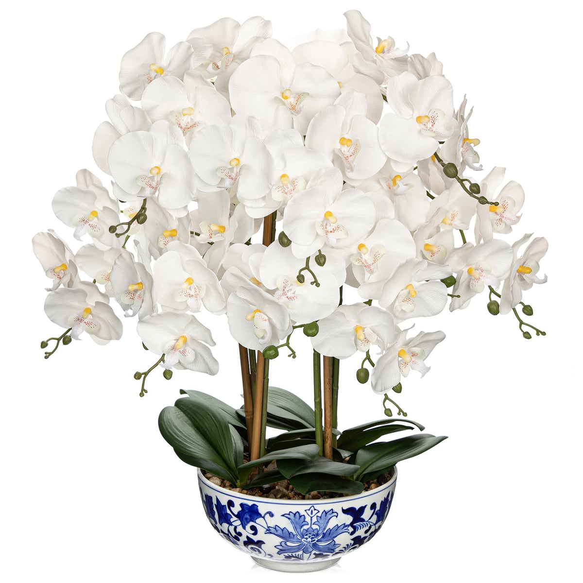 Briful White Orchid in Blue and White Porcelain Pot