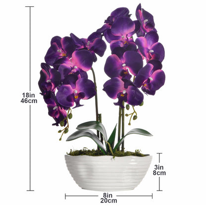 Faux Orchid in Navy Ribbed Ceramic Pot
