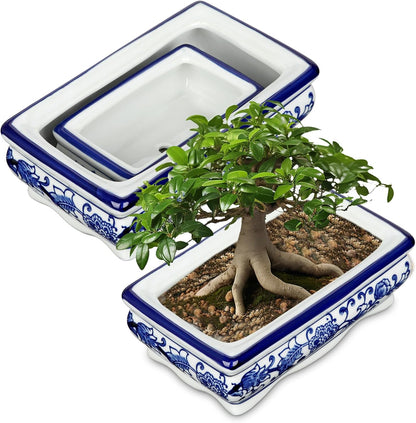 Blue and White Bonsai Pots, Set of 2
