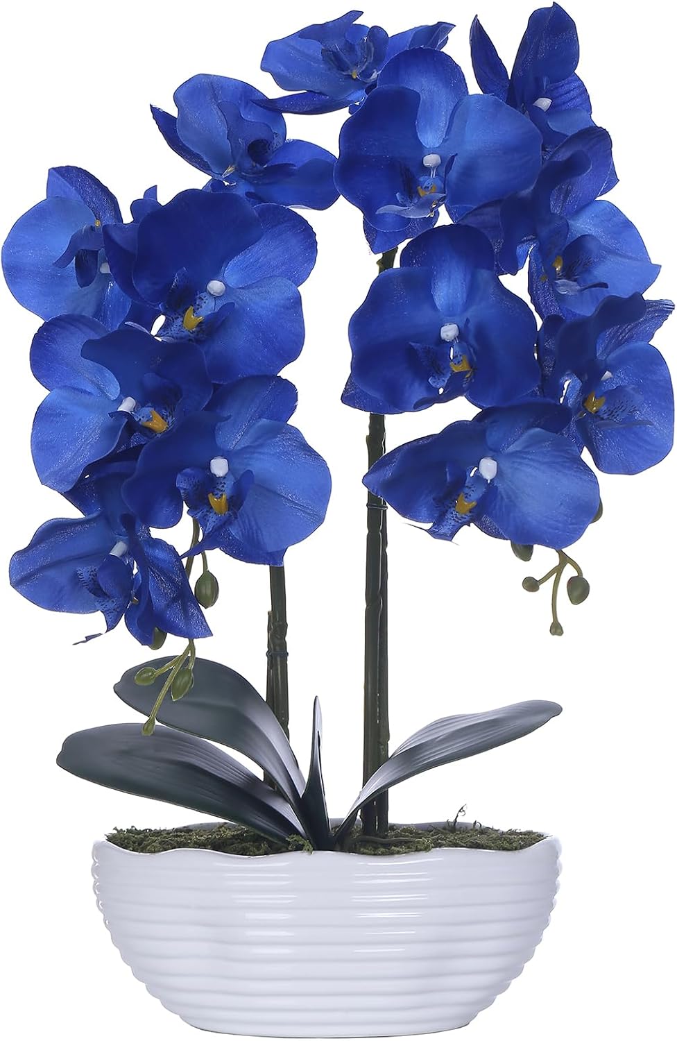 Faux Orchid in Navy Ribbed Ceramic Pot