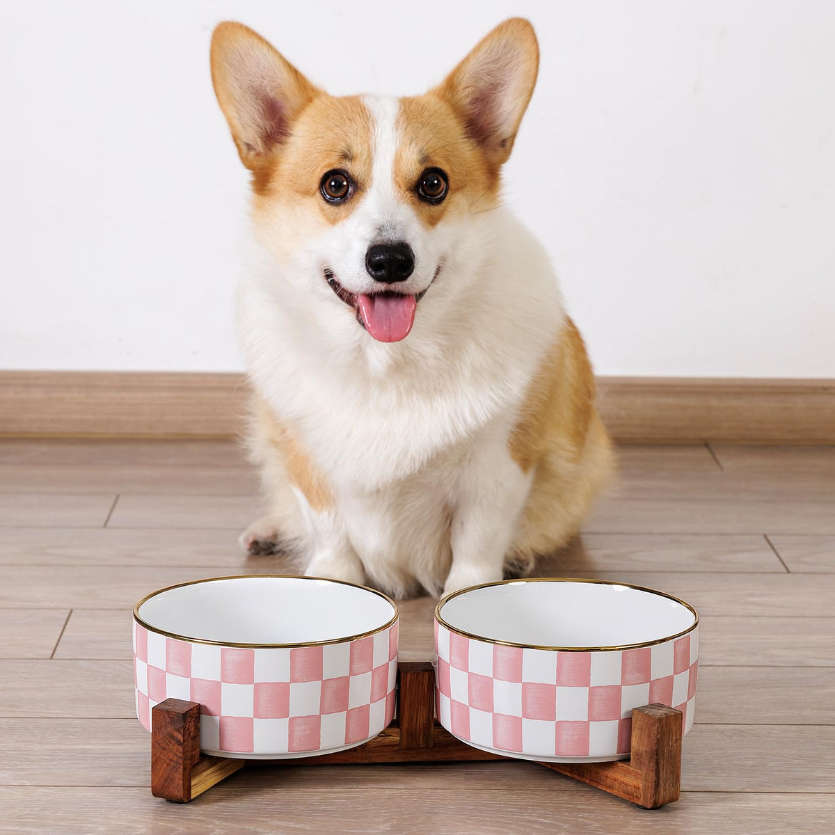 Blue and White Checkered Ceramic Dog Bowls