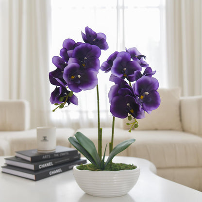 Faux Orchid in Navy Ribbed Ceramic Pot