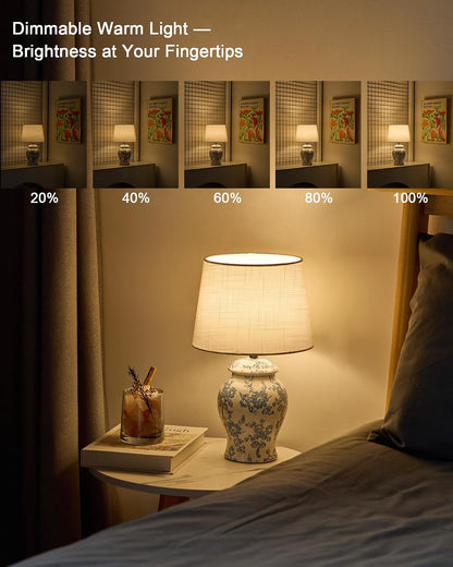 Cordless Ceramic Table Lamp, 13.6 Inch