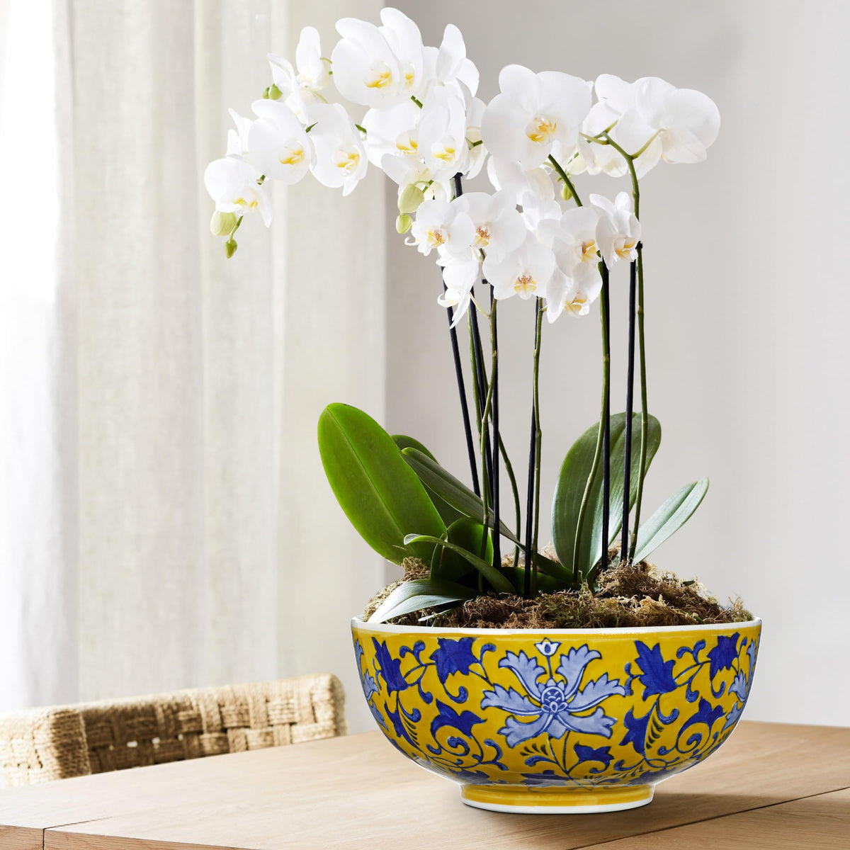 Blue and White Chinoiserie Bowl Planter, 9 Inch