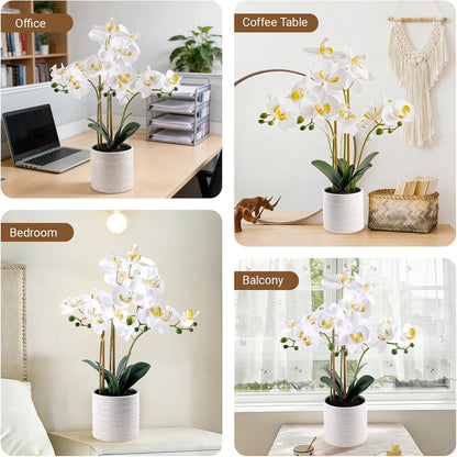 Faux White Orchid in Pot, 23 Inch