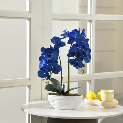 Faux Orchid in Navy Ribbed Ceramic Pot