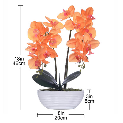 Faux Orchid in Navy Ribbed Ceramic Pot