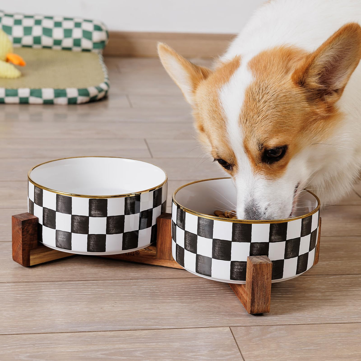 Blue and White Checkered Ceramic Dog Bowls