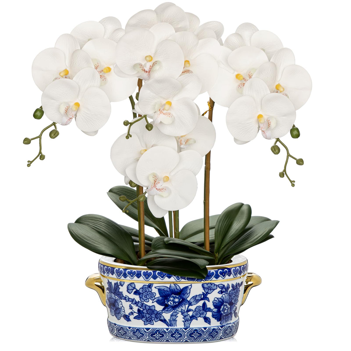 Briful White Orchid in Blue and White Porcelain Pot