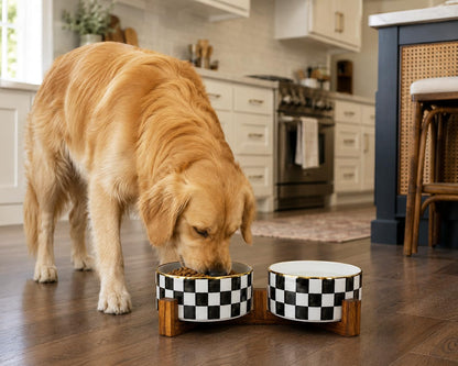 Blue and White Checkered Ceramic Dog Bowls