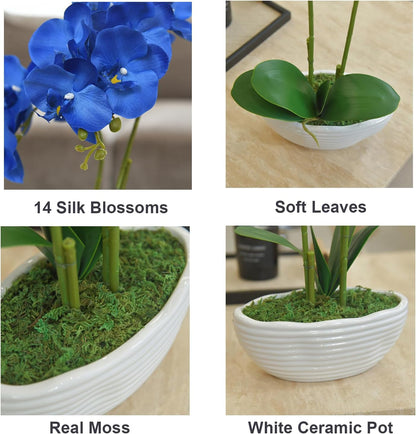 Faux Orchid in Navy Ribbed Ceramic Pot