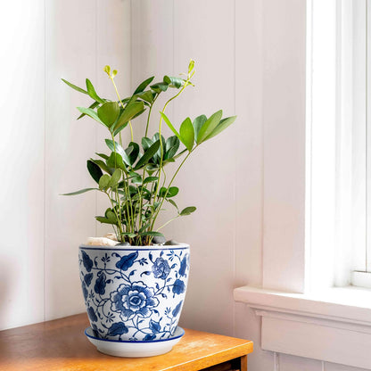 HakkaGirl Blue and White Chinoiserie Planters