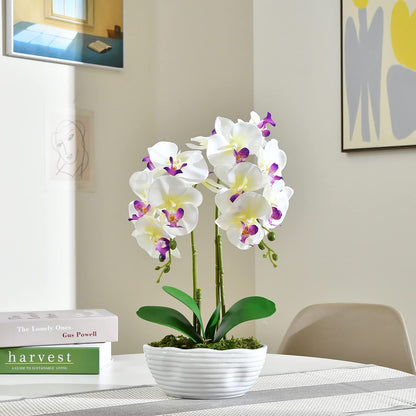 Faux Orchid in Navy Ribbed Ceramic Pot