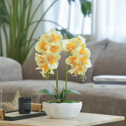 Faux Orchid in Navy Ribbed Ceramic Pot