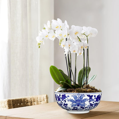 Blue and White Chinoiserie Bowl Planter, 9 Inch