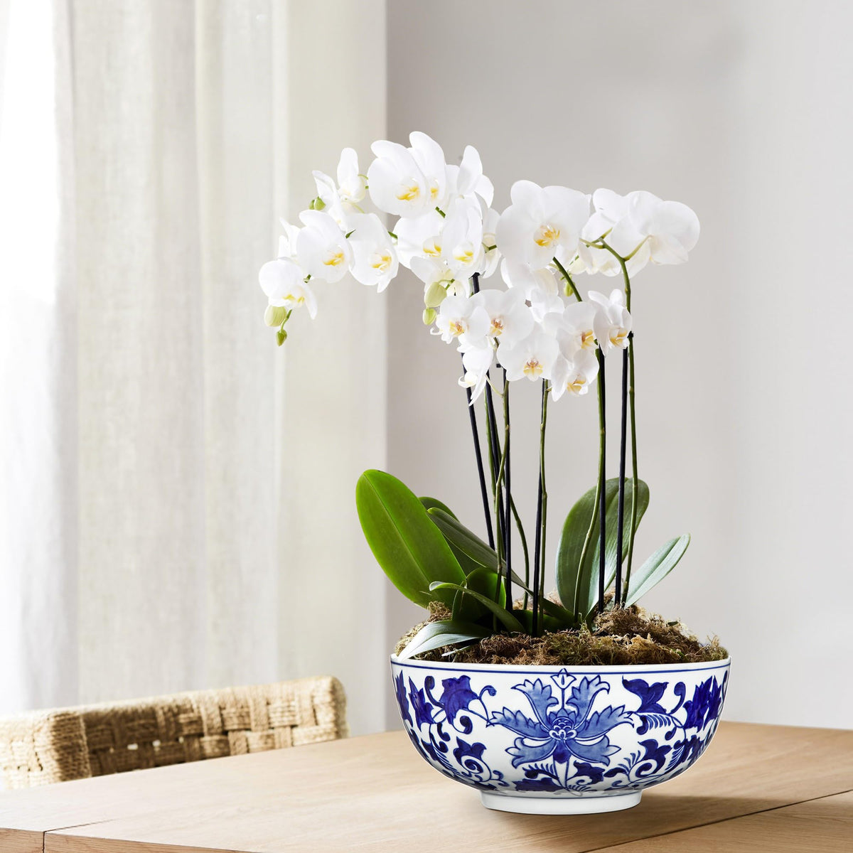Blue and White Chinoiserie Bowl Planter, 9 Inch
