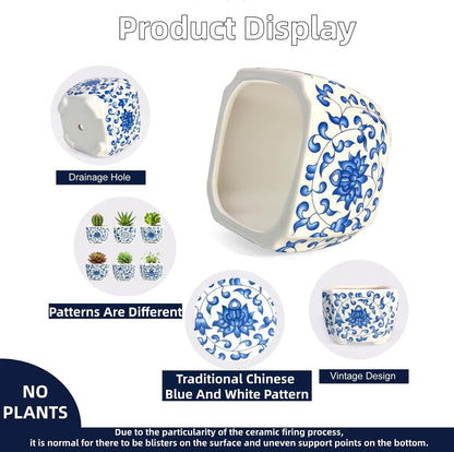 Blue and White Succulent Planters, Set of 6