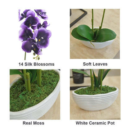 Faux Orchid in Navy Ribbed Ceramic Pot