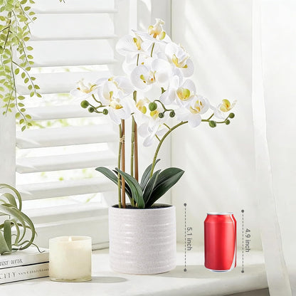 Faux White Orchid in Pot, 23 Inch