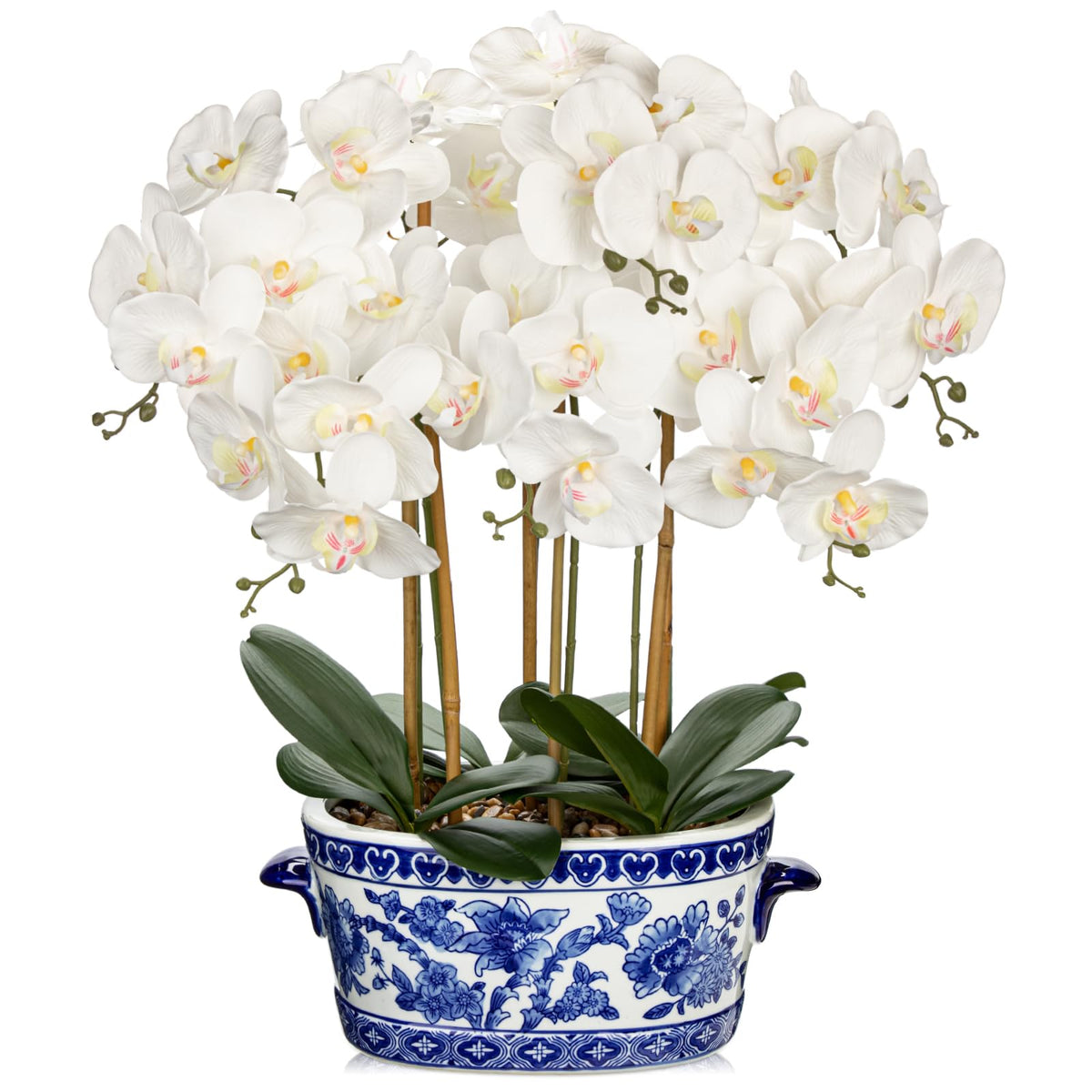 Briful White Orchid in Blue and White Porcelain Pot