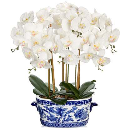 Briful White Orchid in Blue and White Porcelain Pot