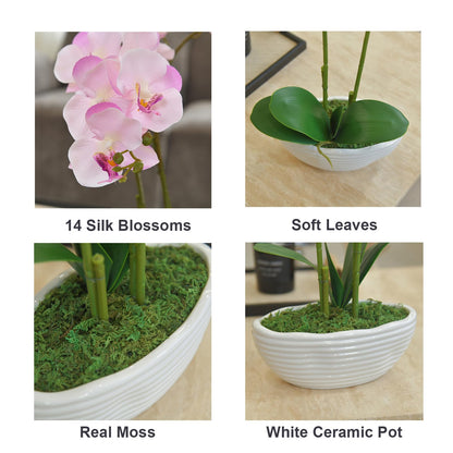 Faux Orchid in Navy Ribbed Ceramic Pot