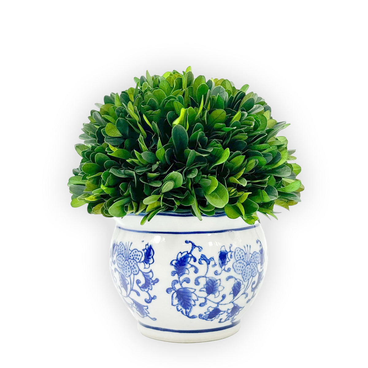 Preserved Boxwood Ball in Blue and White Pot