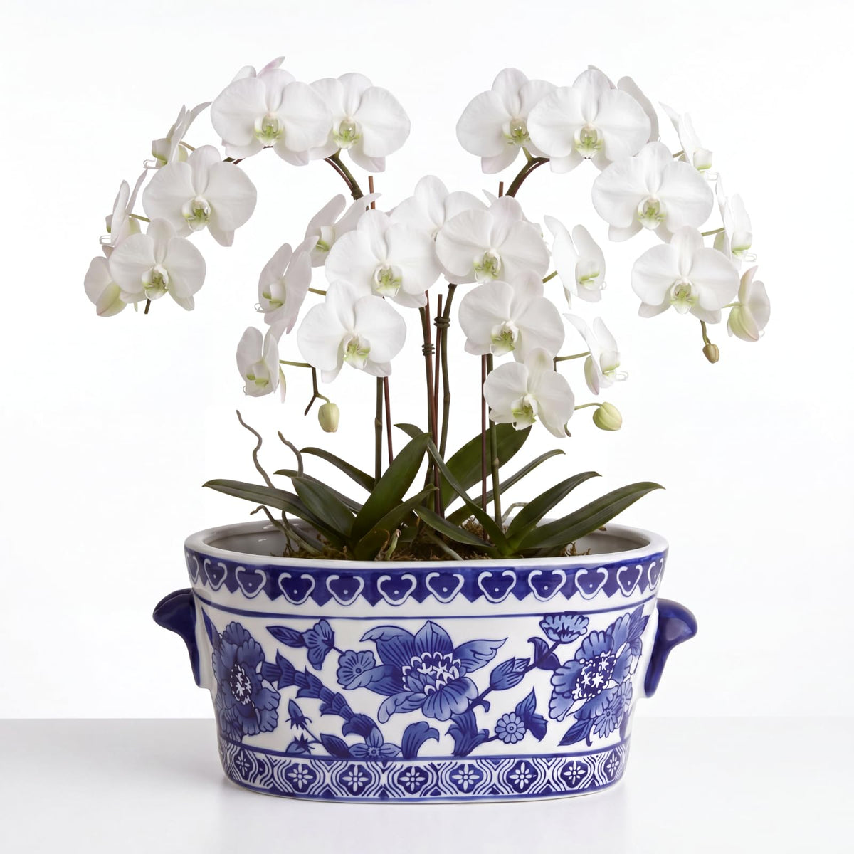 Blue and White Oval Chinoiserie Planters, Set of 2
