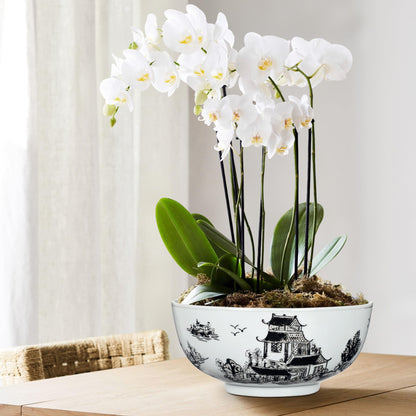 Blue and White Chinoiserie Bowl Planter, 9 Inch