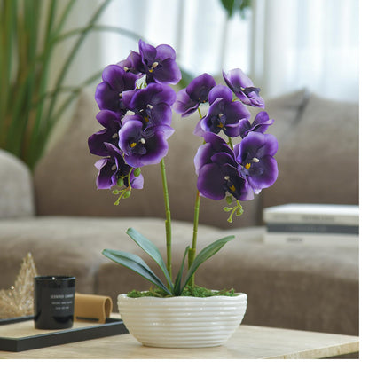 Faux Orchid in Navy Ribbed Ceramic Pot