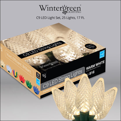 Blue C9 LED Christmas Light Set, 25 Bulbs