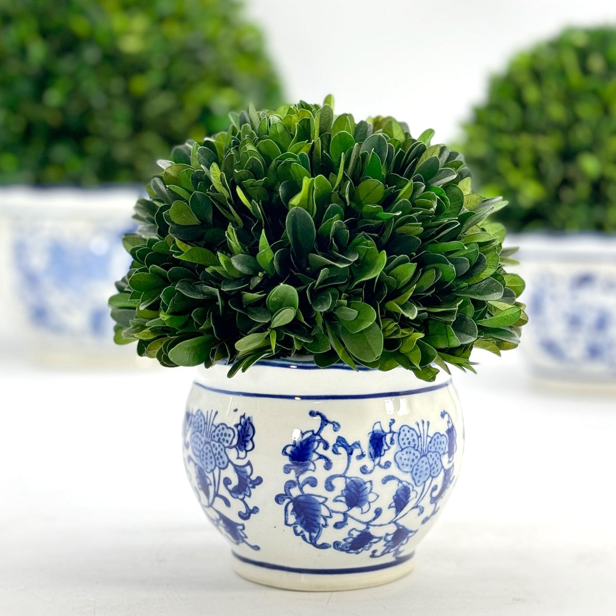 Preserved Boxwood Ball in Blue and White Pot