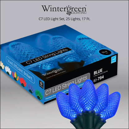 Blue C9 LED Christmas Light Set, 25 Bulbs