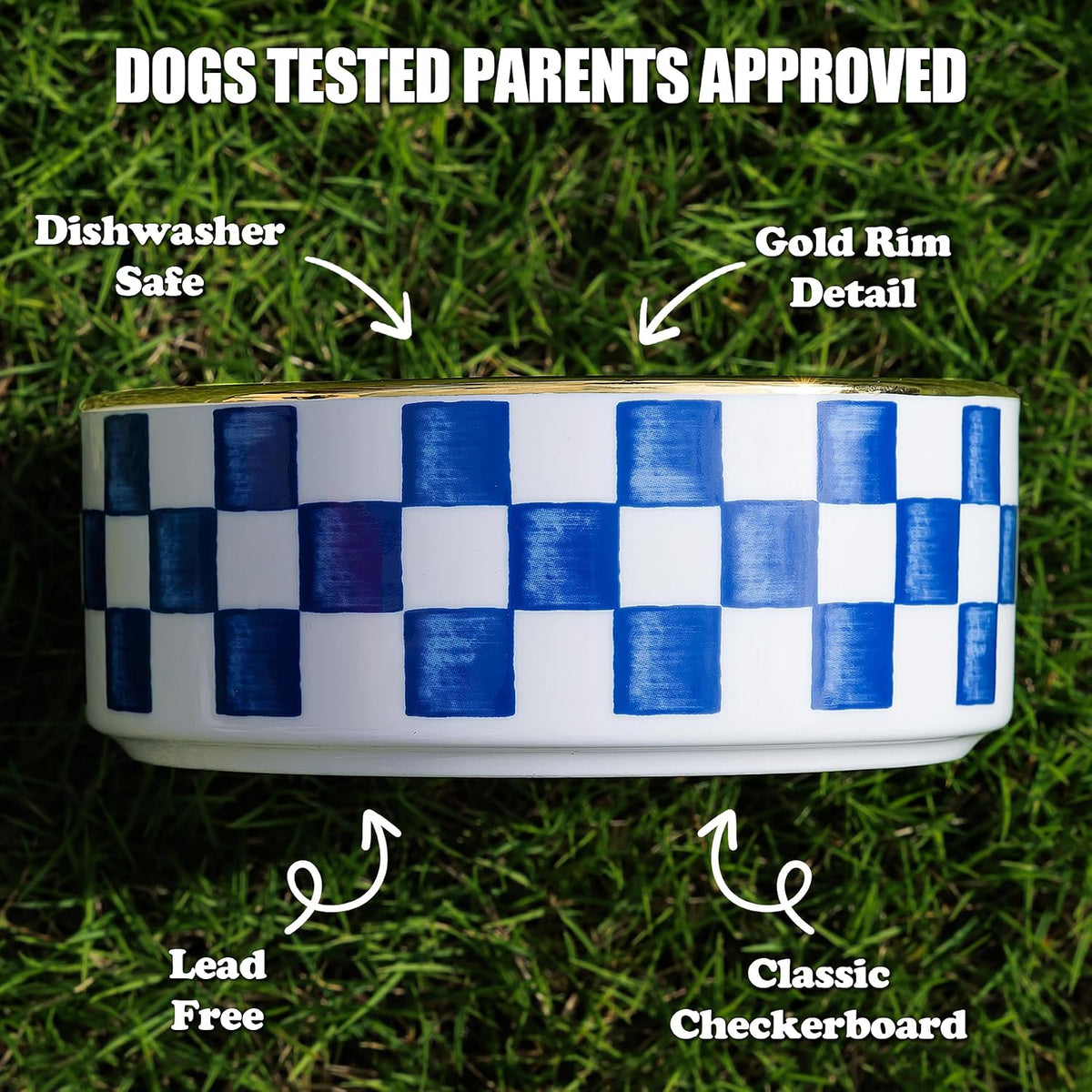 Blue and White Checkered Ceramic Dog Bowls