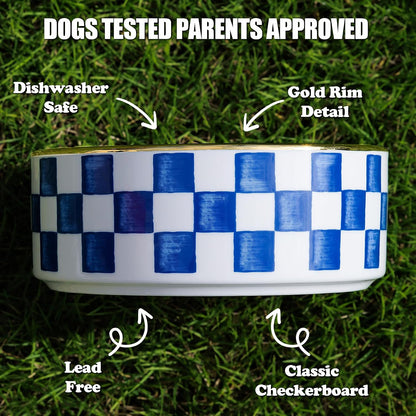 Blue and White Checkered Ceramic Dog Bowls