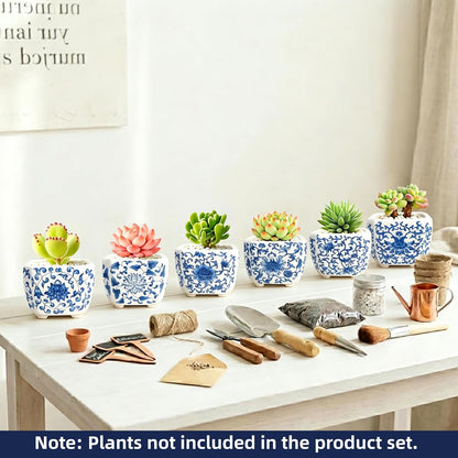 Blue and White Succulent Planters, Set of 6