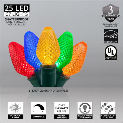 Blue C9 LED Christmas Light Set, 25 Bulbs