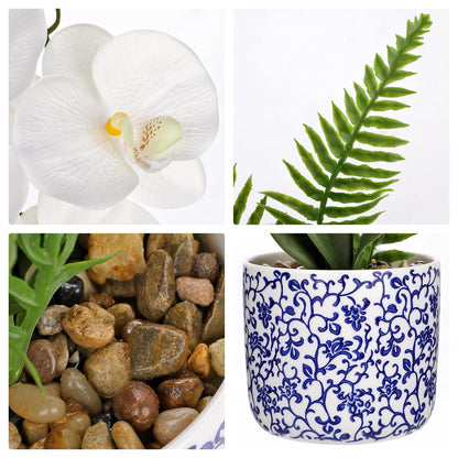 Briful Faux Orchid in Blue and White Ceramic Pot