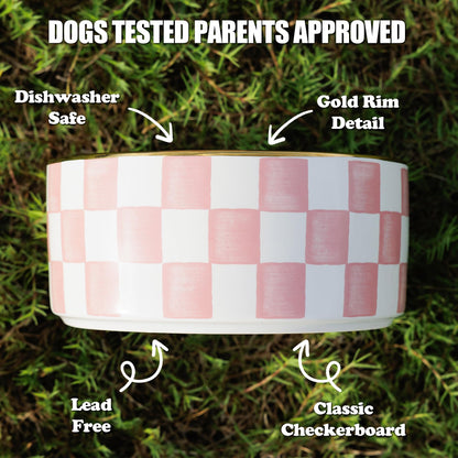 Blue and White Checkered Ceramic Dog Bowls