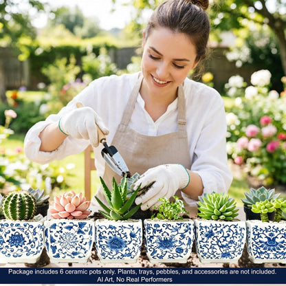 Blue and White Succulent Planters, Set of 6