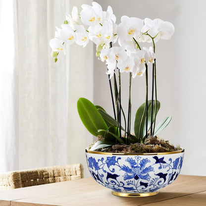Blue and White Chinoiserie Bowl Planter, 9 Inch
