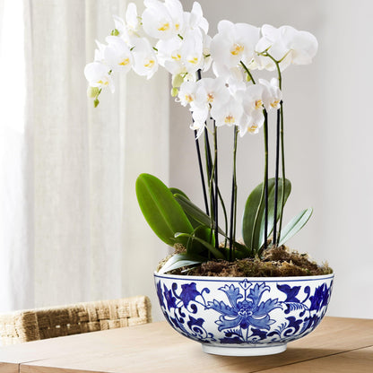 Blue and White Chinoiserie Bowl Planter, 9 Inch