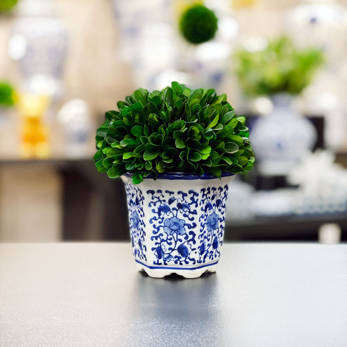 Preserved Boxwood Ball in Blue and White Pot