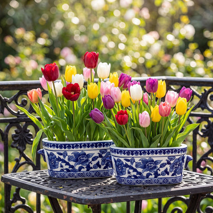 Blue and White Oval Chinoiserie Planters, Set of 2