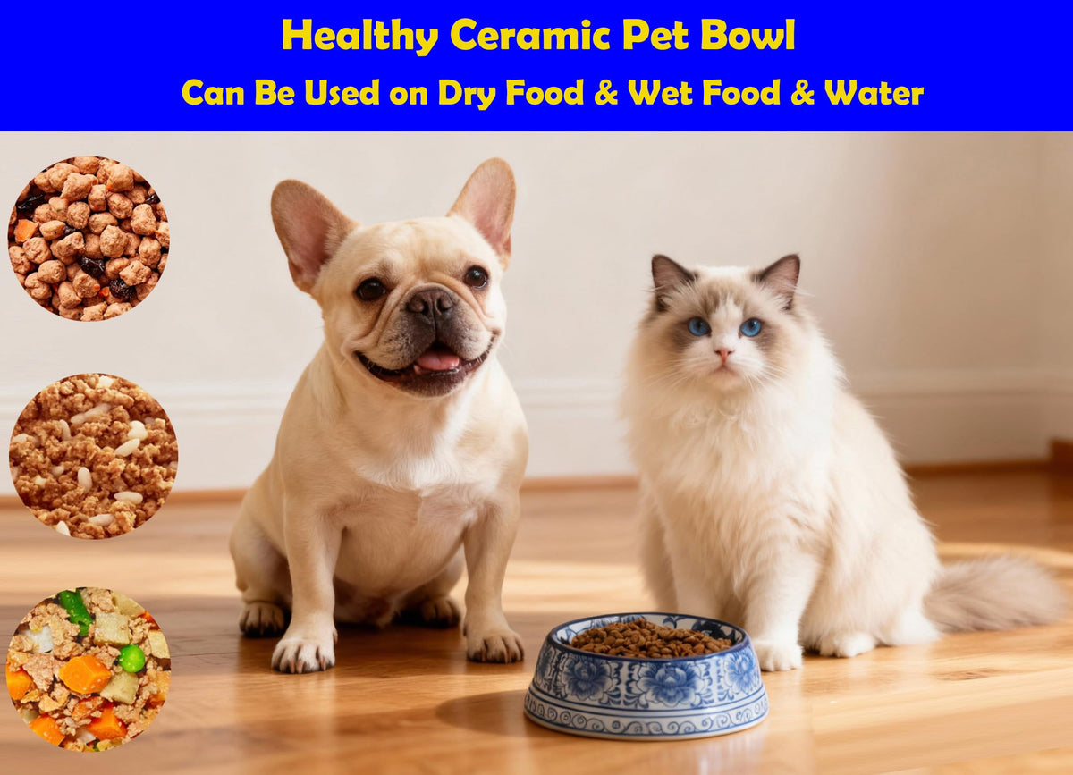 Hand-Painted Blue and White Ceramic Pet Bowl