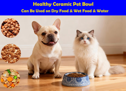 Hand-Painted Blue and White Ceramic Pet Bowl